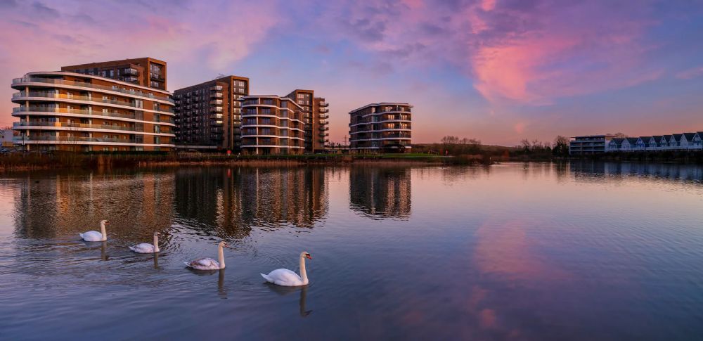 Bankside Gardens